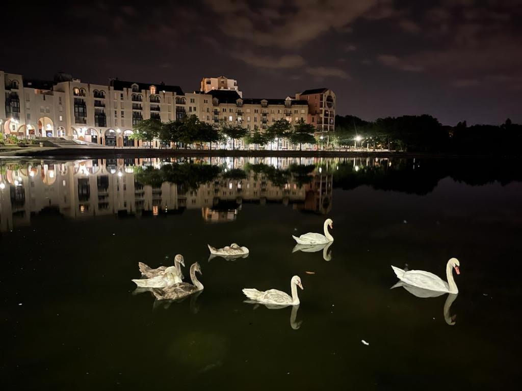 Vue Exceptionnelle Sur Le Lac 克雷泰伊 外观 照片