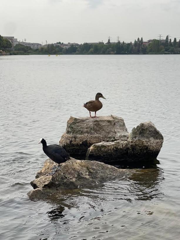 Vue Exceptionnelle Sur Le Lac 克雷泰伊 外观 照片